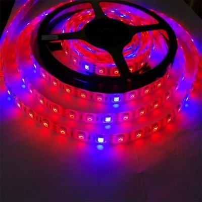 Семенная стартовая лампа корпус материала PC Led Grow Light Strip с 5050 Dc 12v/24v