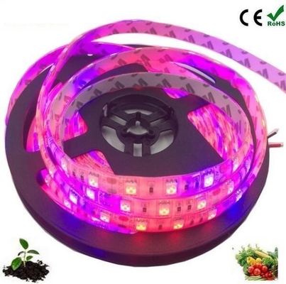 Семенная стартовая лампа корпус материала PC Led Grow Light Strip с 5050 Dc 12v/24v